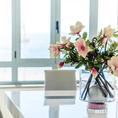 아파트 T3 Foz Norte